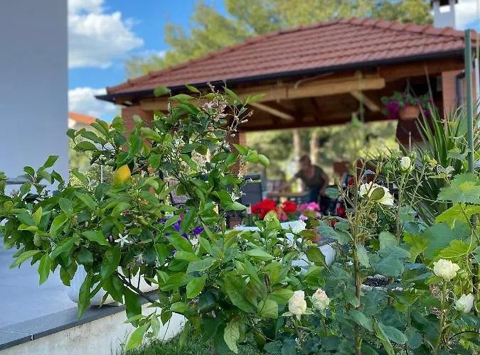 Alcmaria Appartamento *